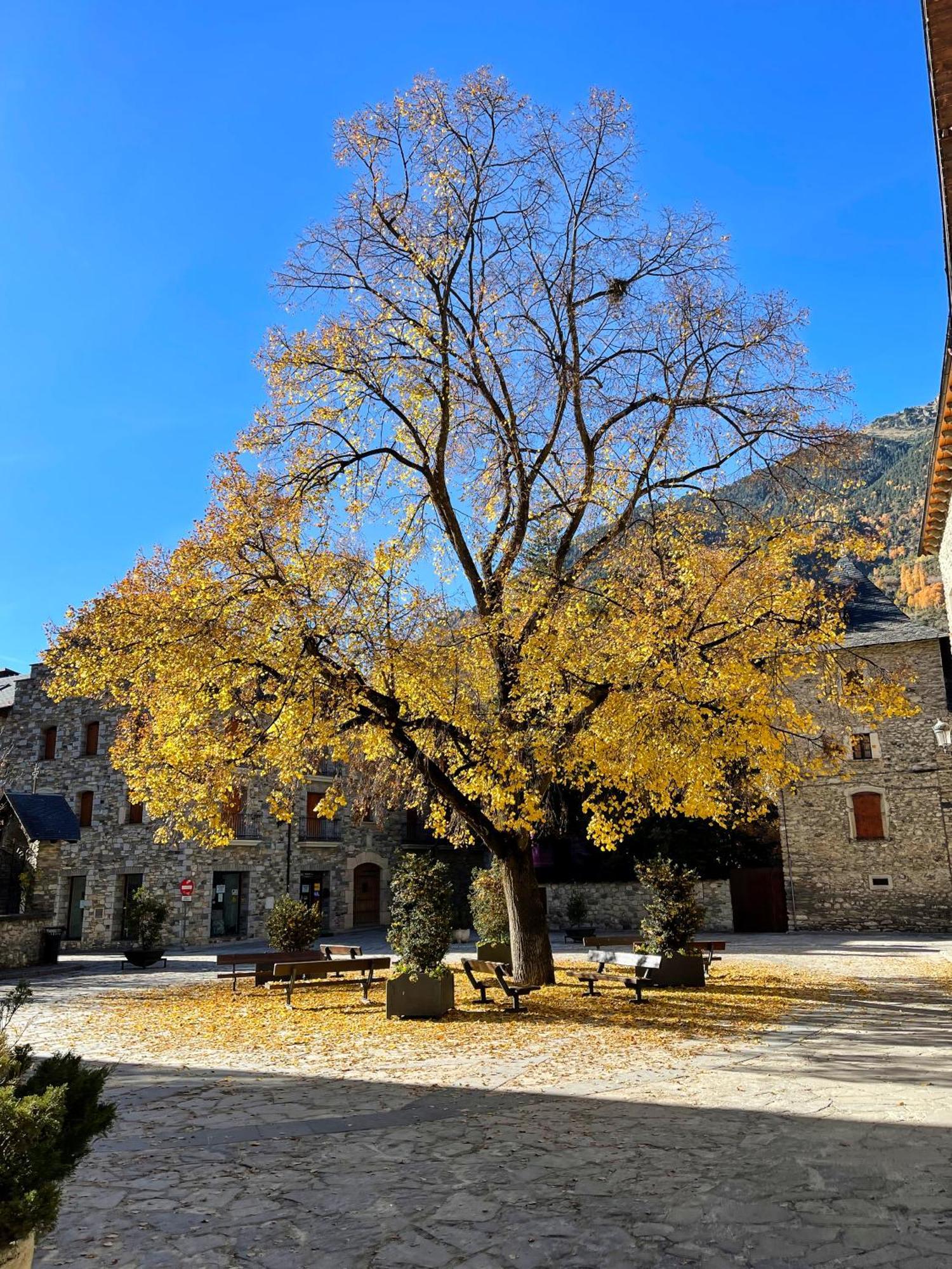 Apartamento Familiar En El Centro De Benasque Con Terraza Zewnętrze zdjęcie